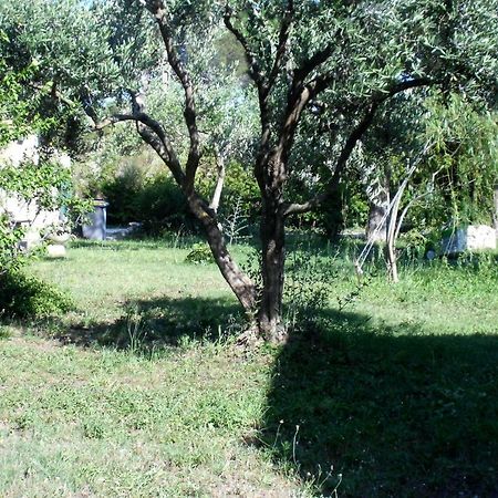 B&B Le Petit Frigouye Rochefort-du-Gard Exteriör bild