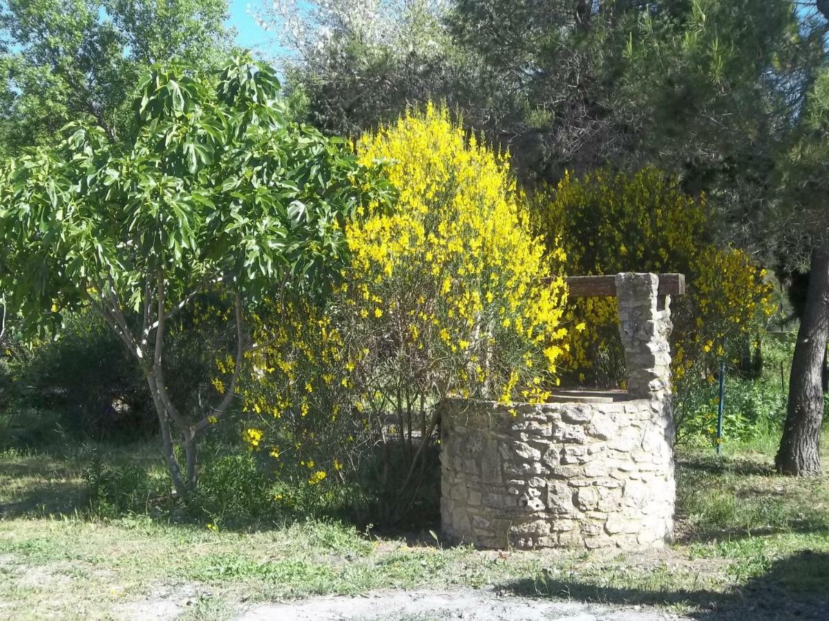 B&B Le Petit Frigouye Rochefort-du-Gard Exteriör bild