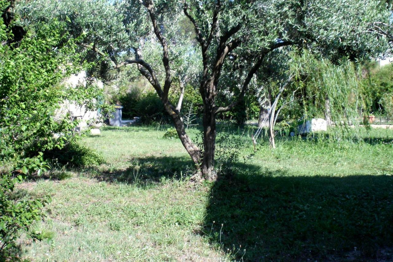B&B Le Petit Frigouye Rochefort-du-Gard Exteriör bild
