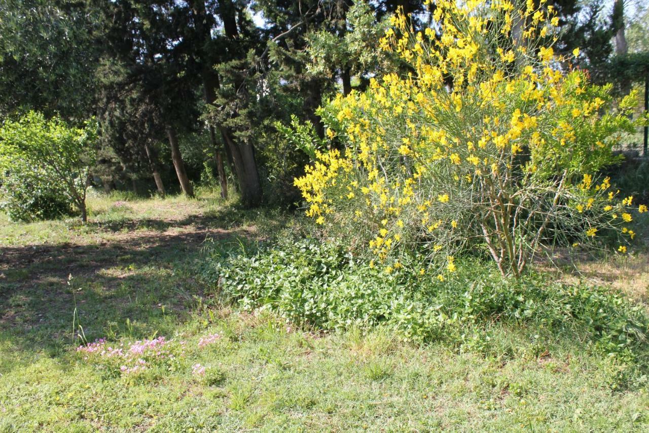 B&B Le Petit Frigouye Rochefort-du-Gard Exteriör bild